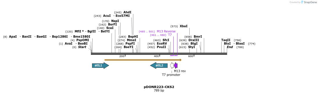 29681_map