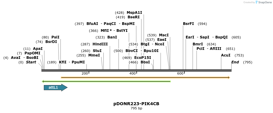 29683_map
