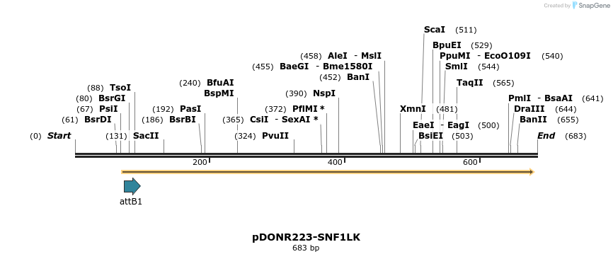 29684_map