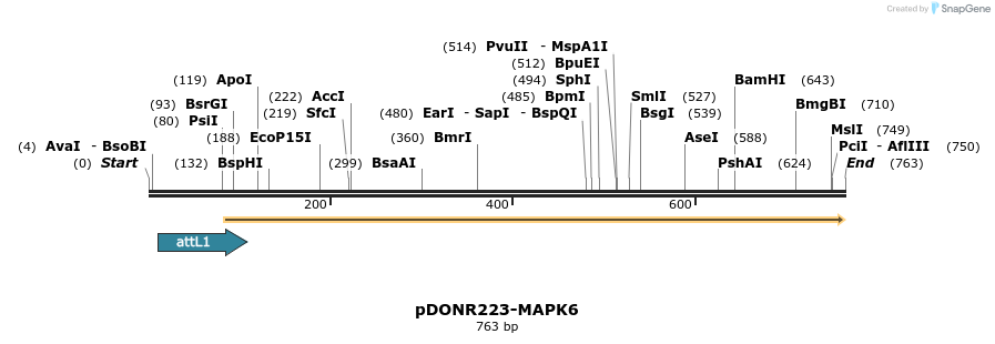 29686_map
