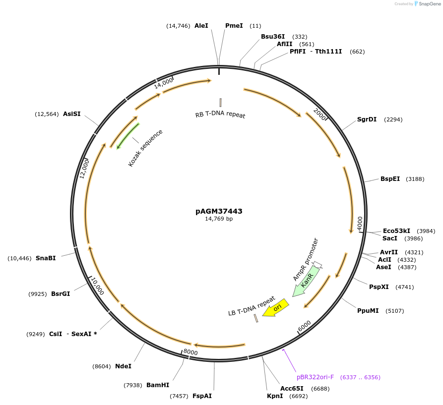296895_map