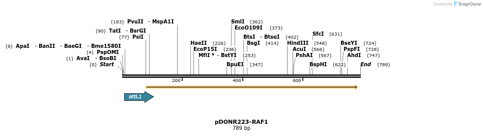 29690_map
