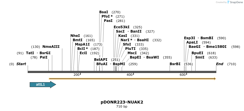 29691_map