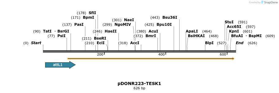29692_map