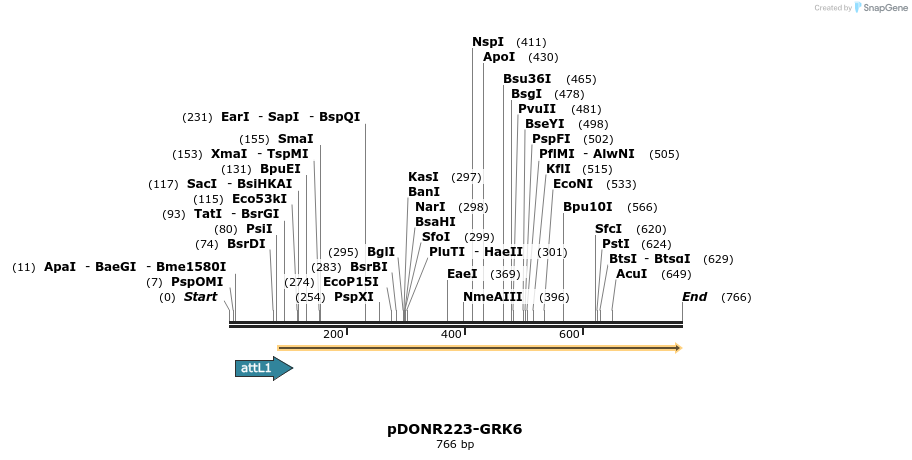 29693_map