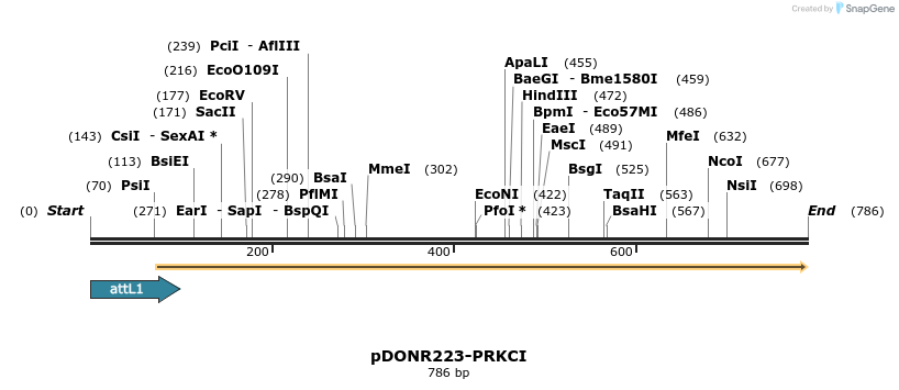 29694_map