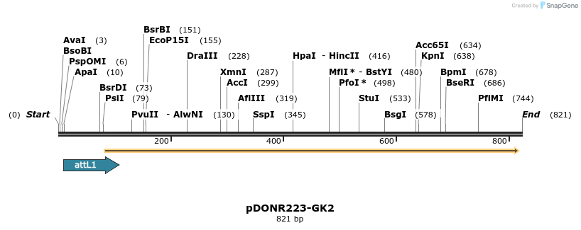 29695_map