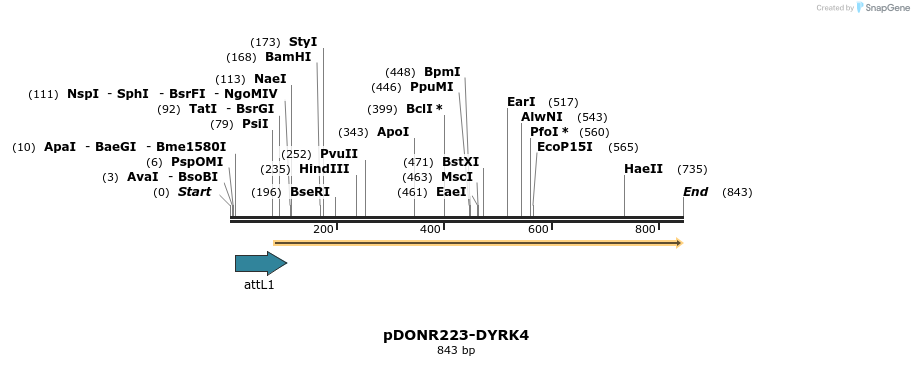29697_map