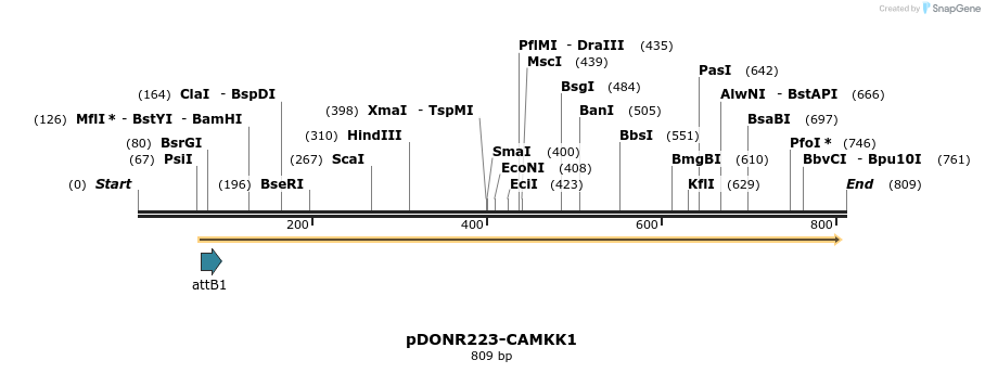29698_map