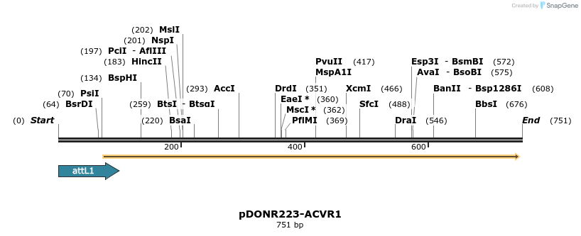 29700_map
