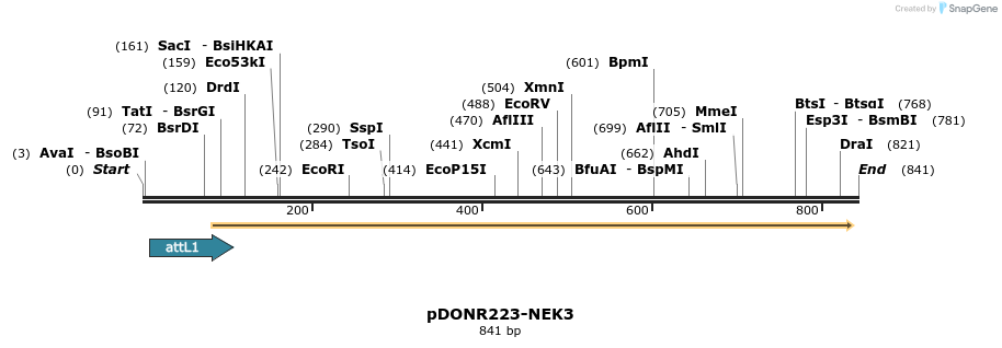 29701_map
