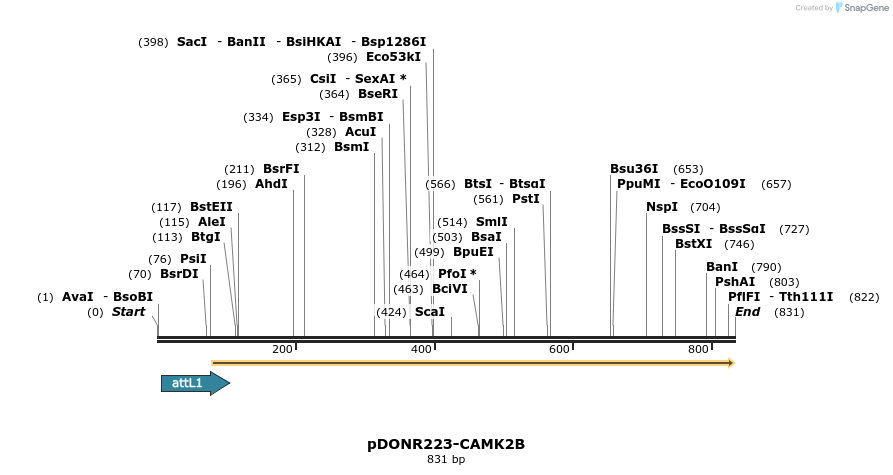29702_map