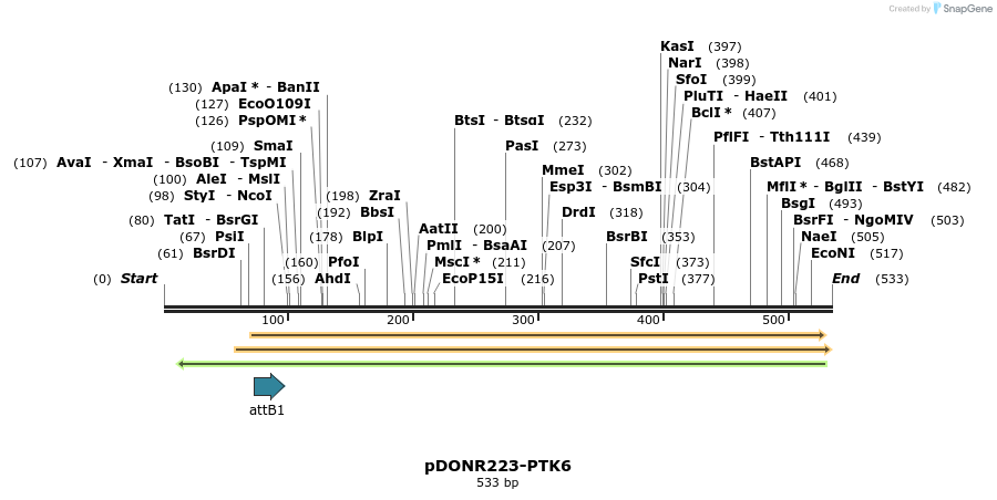 29703_map