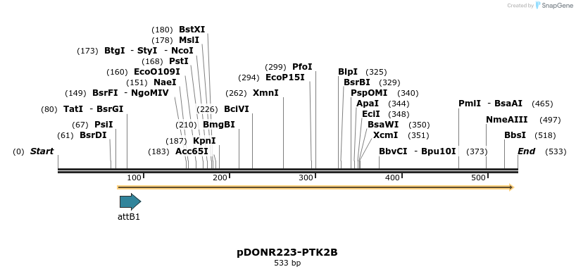 29704_map