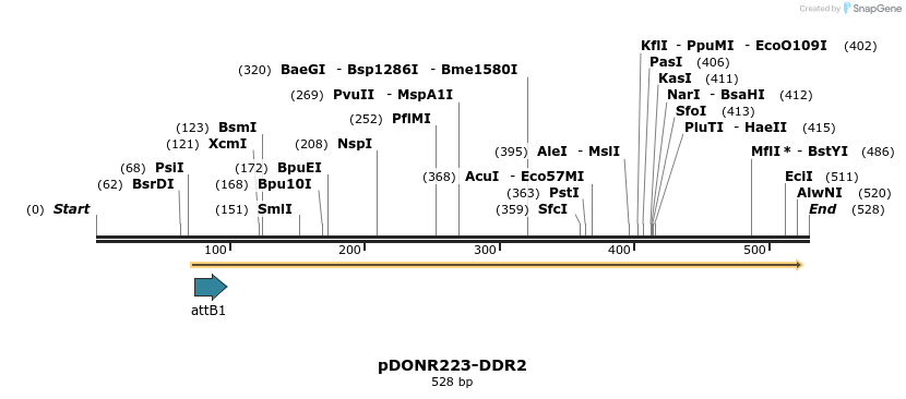 29705_map