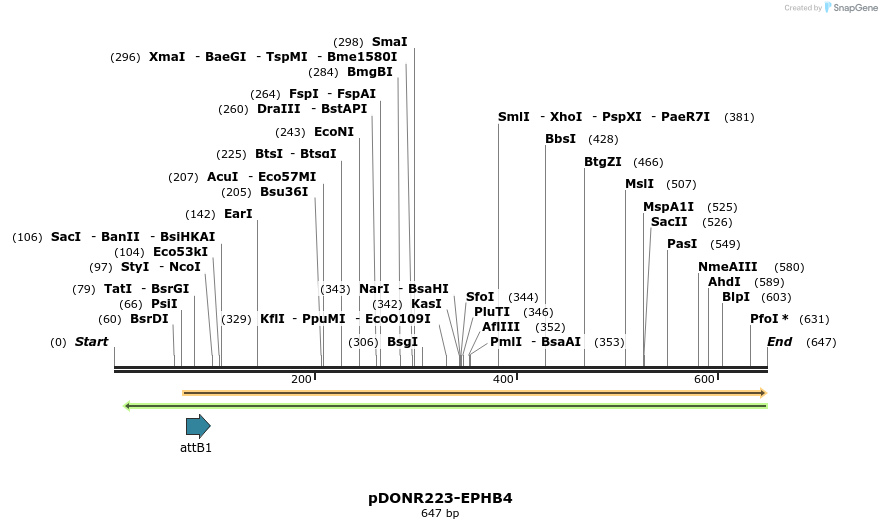 29706_map
