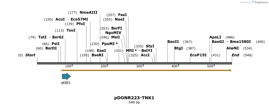 29708_map