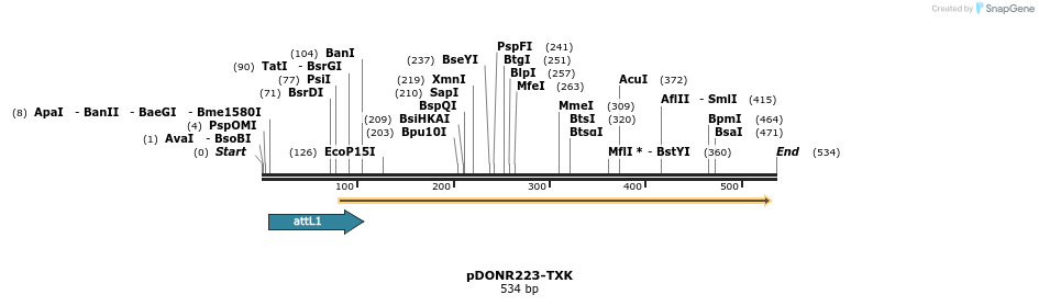 29717_map