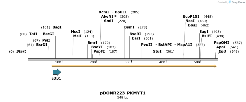 29719_map
