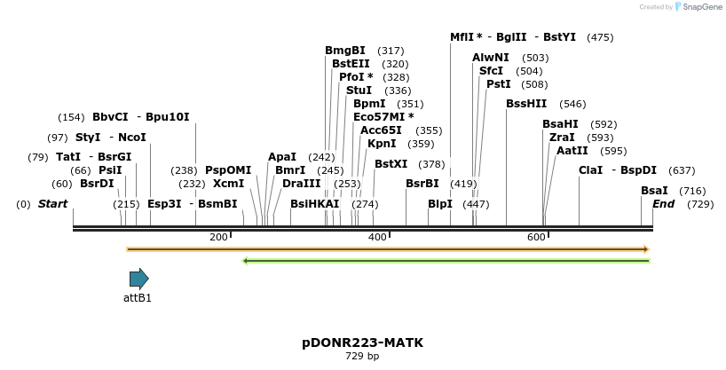29721_map