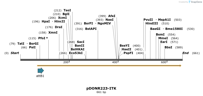 29722_map