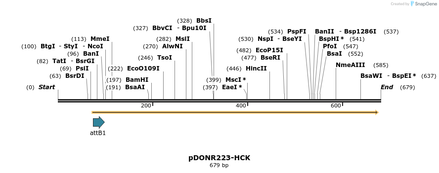 29724_map