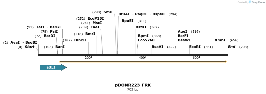 29725_map