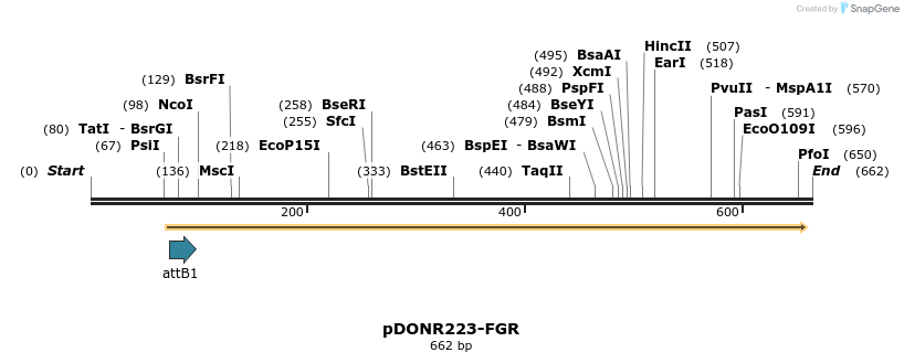 29726_map