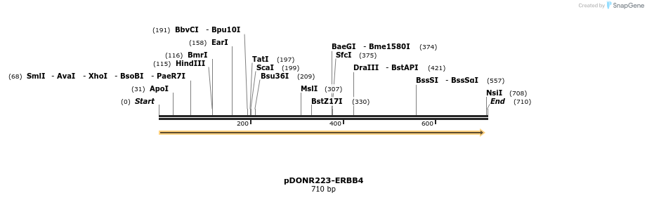 29728_map