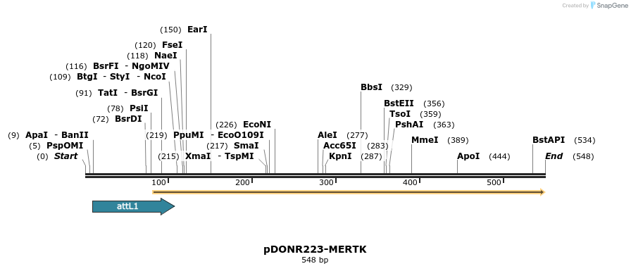 29732_map