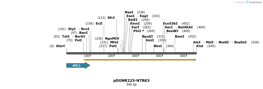 29733_map