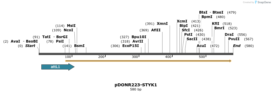 29735_map