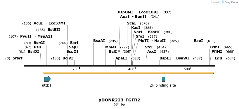 29736_map