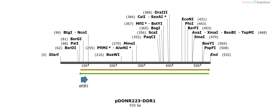 29742_map