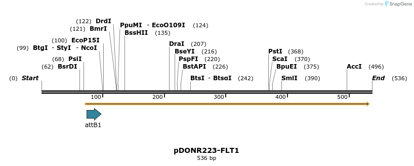 29744_map