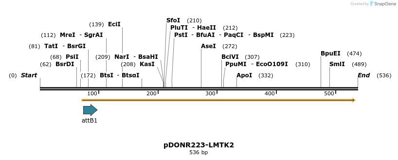 29746_map