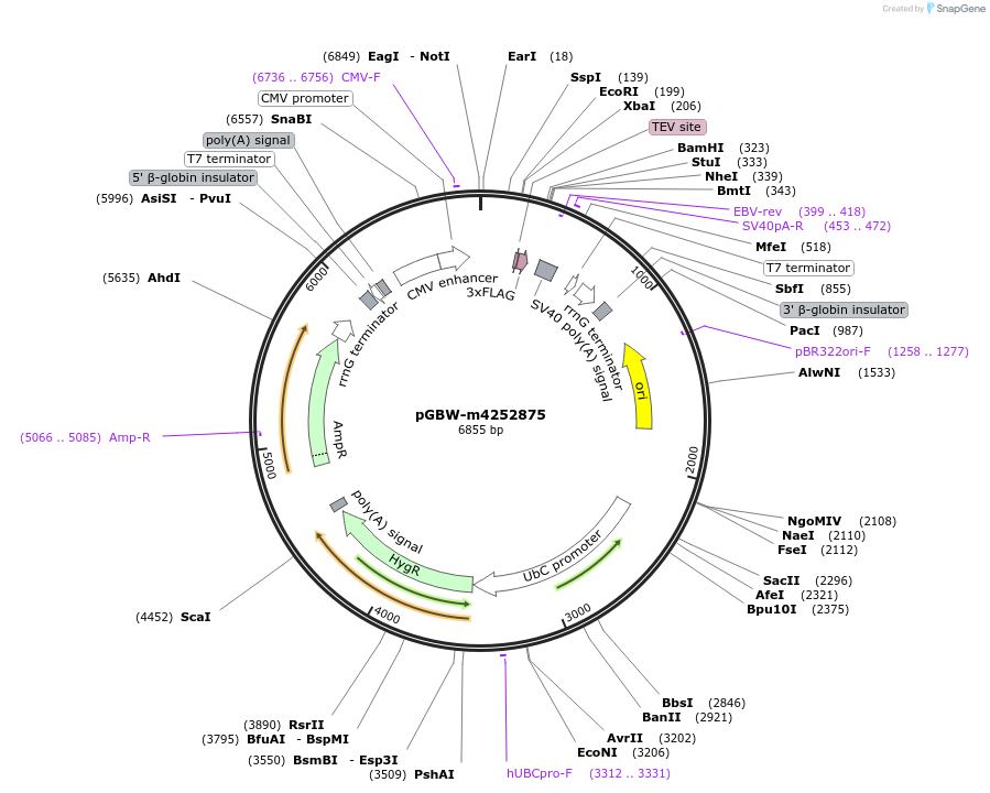 297478_map