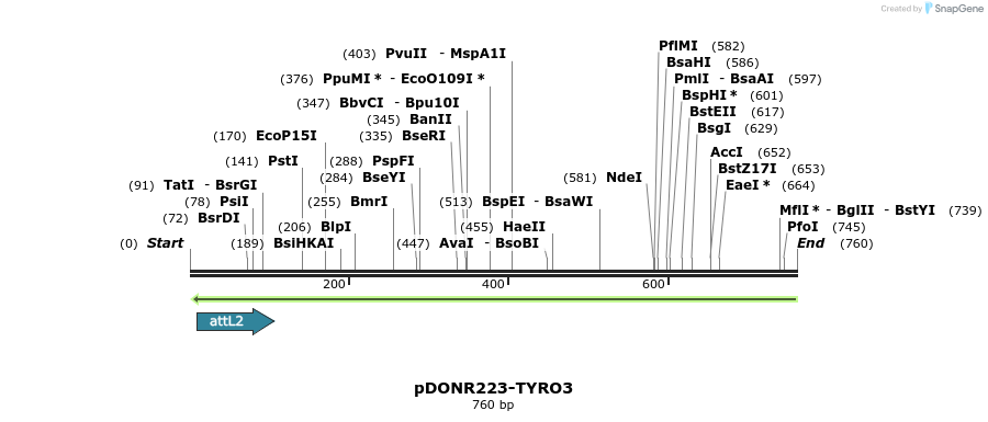 29749_map