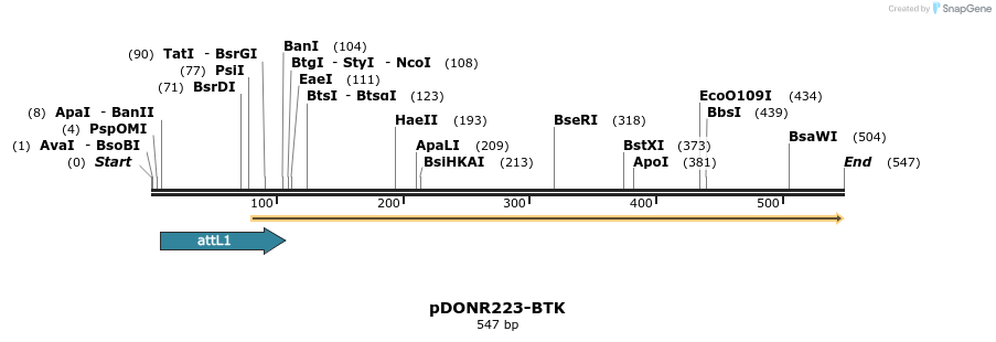 29751_map