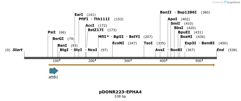 29754_map