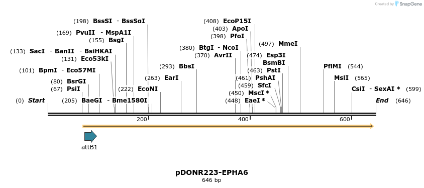 29755_map