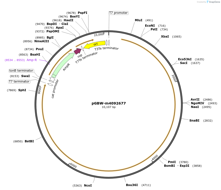 297572_map