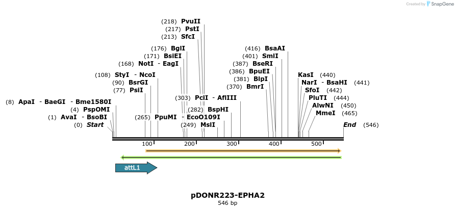 29763_map