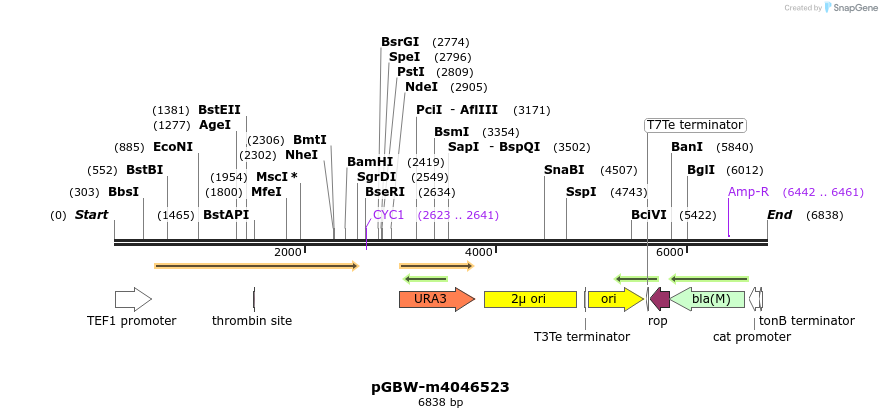297631_map