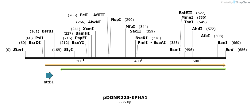 29766_map