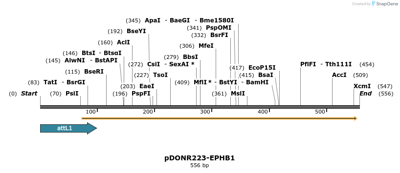 29767_map
