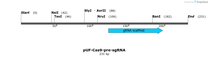 297677_map