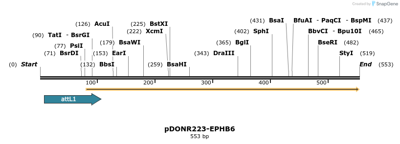 29768_map
