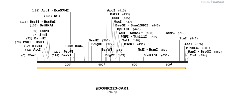 29769_map