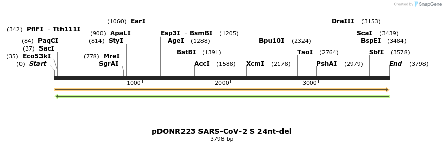 297690_map